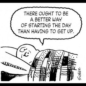 Meet your Posher, Carlene